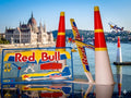 Red Bull MXS-R 3D Printed Air Race Plane Model Kit