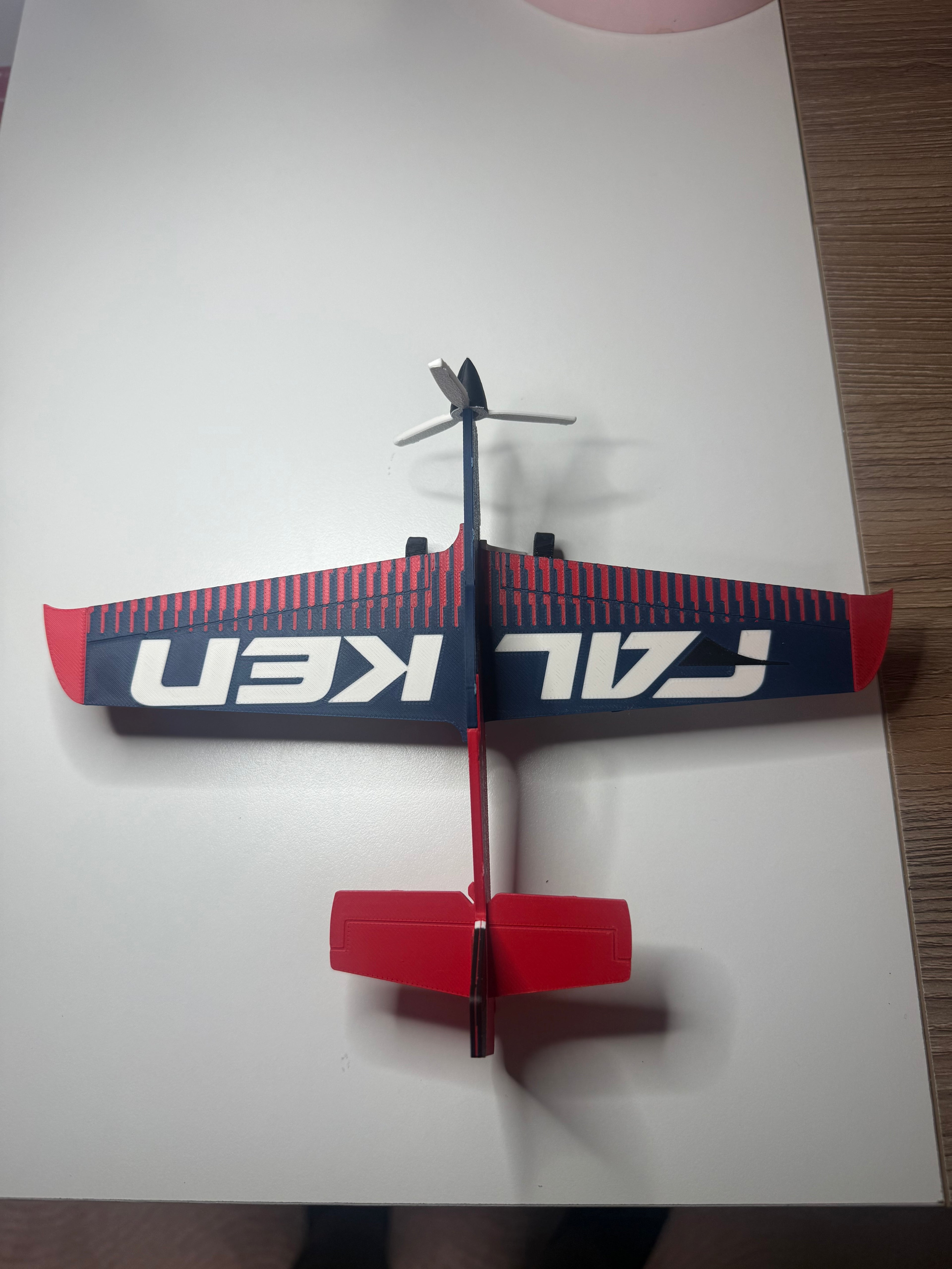 MXS-R Falken Aerobatic Plane 3D Printed Model | RC Airplane Display Build