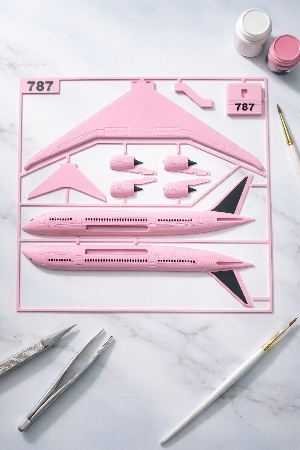 Pink Boeing 787 Dreamliner 3D Printed Aircraft Model Kit – Cute Airliner Edition